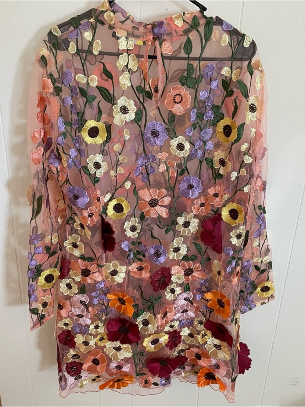 Finesse Sheer Floral Dress with Embroidered/Appliqué Flowers